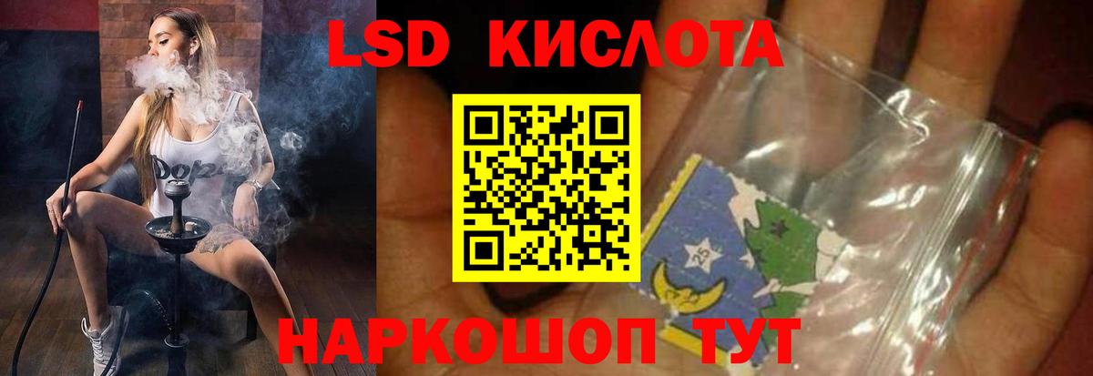 Гашиш Лесной