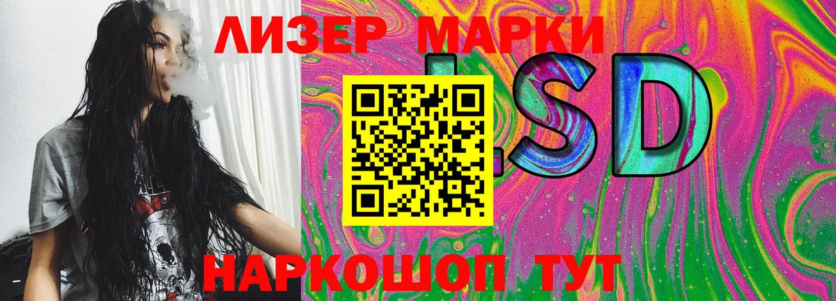 Марки N-bome 1500мкг Лесной