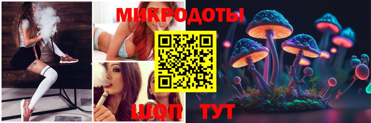 Галлюциногенные грибы Psilocybe Лесной